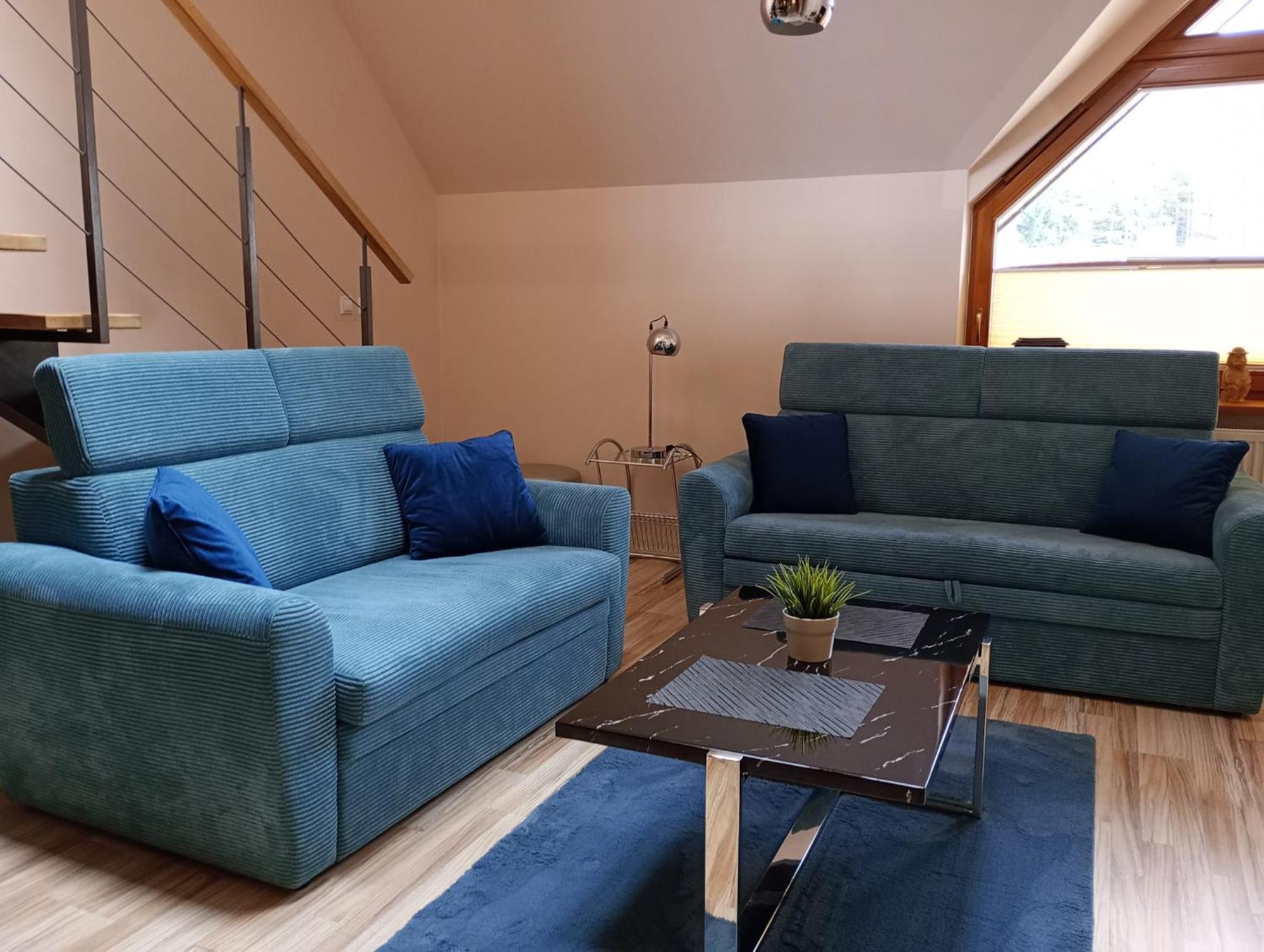 Viva Maria Apartament ザコパネ エクステリア 写真